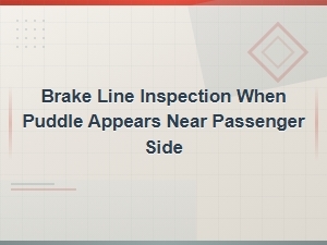 Brake Line Inspection Guide for Fluid Puddles Near the Passenger Side