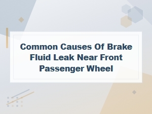 Fixing Brake Fluid Leaks Near the Front Passenger Wheel: Causes and Solutions