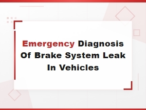 Emergency Diagnosis of Brake System Leak in Vehicles