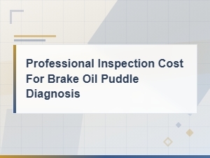 Professional Brake Fluid Leak Inspection Cost Guide