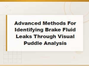 Brake Fluid Leak Identification Through Visual Puddle Analysis Techniques